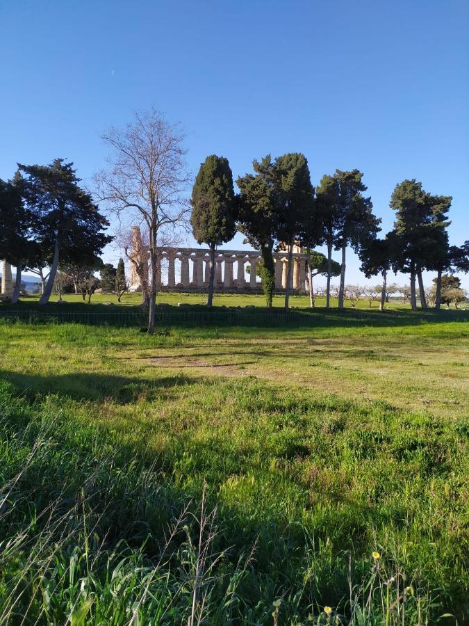 Goethe Paestum House Apartment Екстериор снимка